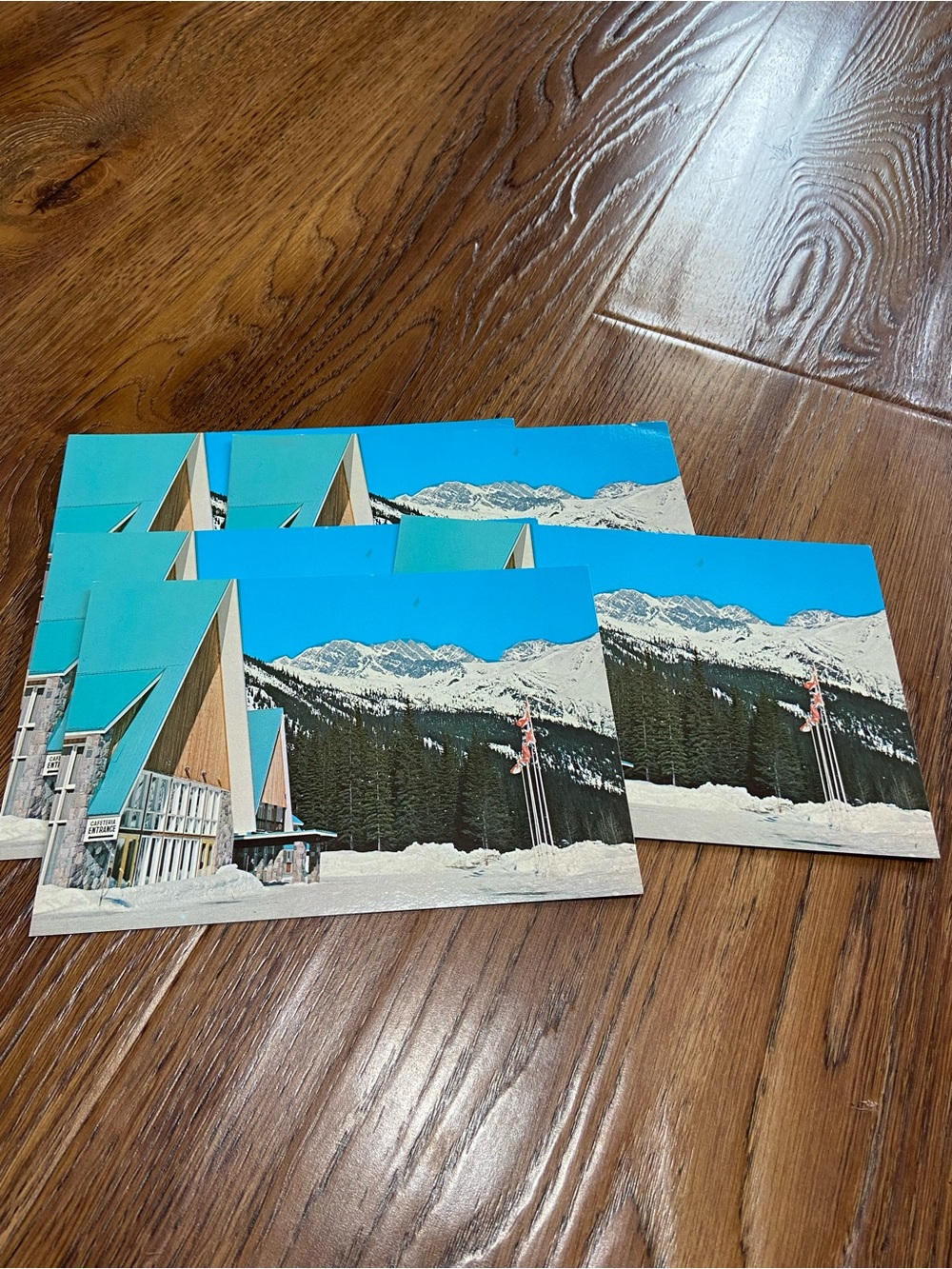 5 Vintage Mountain Lodge Postcards - The Hermit Range at Rogerโs Pass